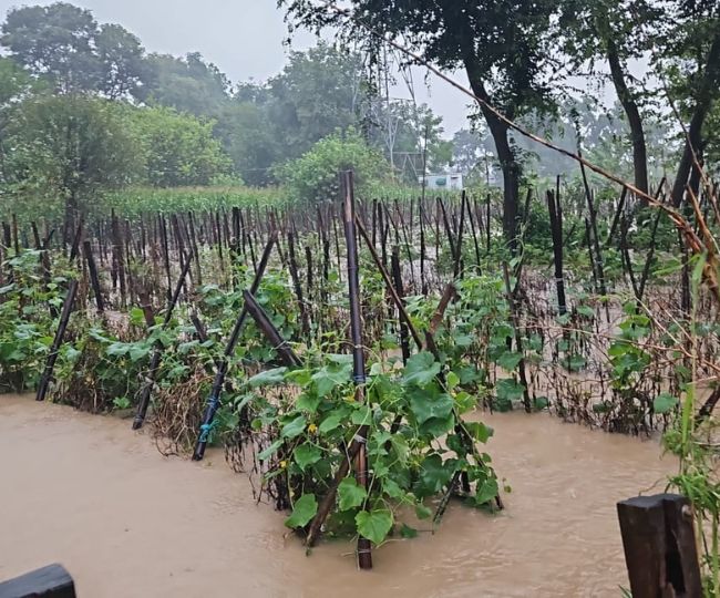 Water in Feild in Mandi
